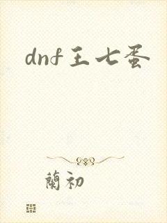dnf王七蛋
