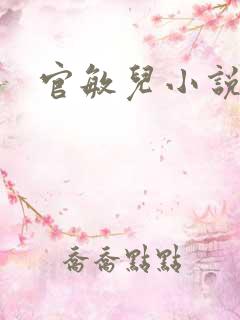 官敏儿小说集