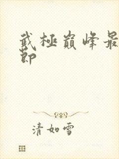 武极巅峰最新章节