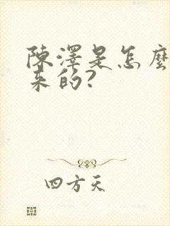 陈泽是怎么火起来的?