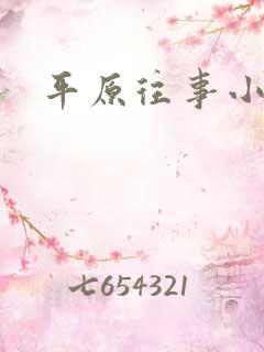 平原往事小说