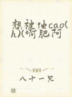 想被他cao(h)(啊肥阿