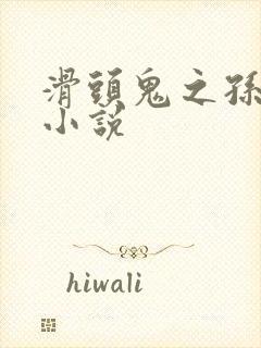 滑头鬼之孙官方小说