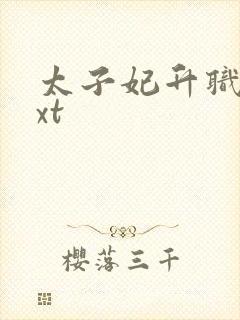 太子妃升职记txt