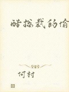 酷总裁的偷孕妻