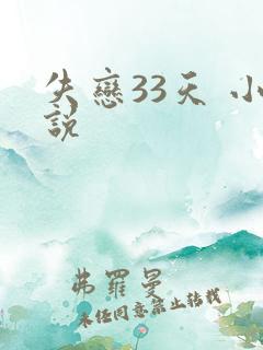 失恋33天 小说