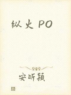 纵火 PO