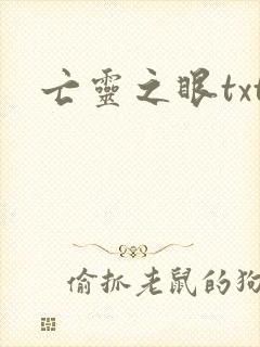 亡灵之眼txt