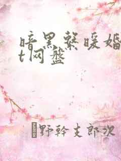 暗黑系暖婚txt网盘