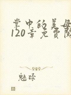 掌中的美母版主120章免费阅读