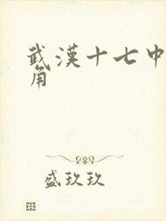 武汉十七中女主角