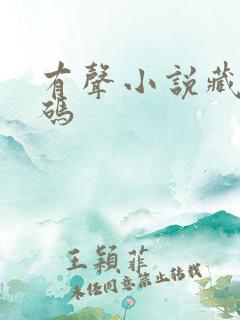 有声小说藏地密码