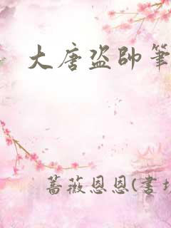 大唐盗帅笔趣阁