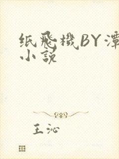 纸飞机BY潭石小说