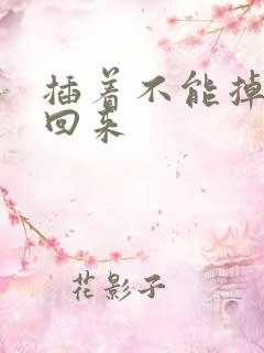 插着不能掉等我回来