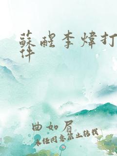 苏醒李炜打架事件