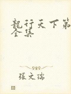 龙行天下第二部全集