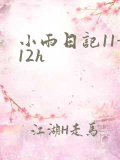 小雨日记11-12h