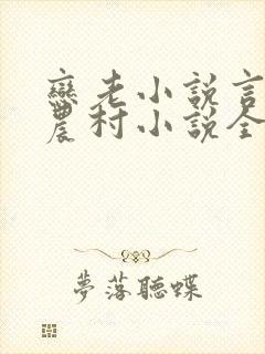 恋老小说言情网农村小说全文阅读