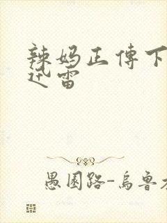 辣妈正传下载 迅雷