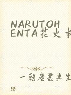 NARUTOHENTA花火本子