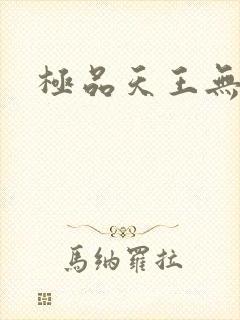 极品天王无弹窗
