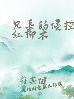 兄长的侵控by红柳木