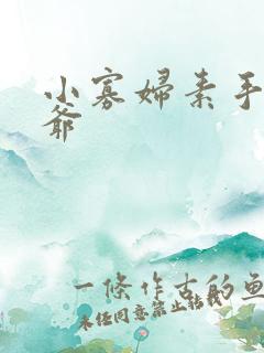 小寡妇素手擒四爷