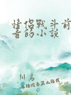 情侣战斗前适合看的小说