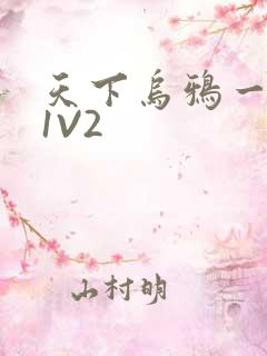 天下乌鸦一般黑1V2