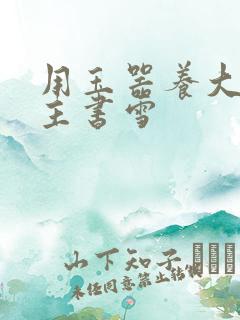 用玉器养大的公主书雪