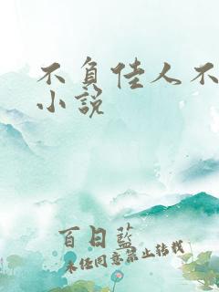 不负佳人不负卿小说