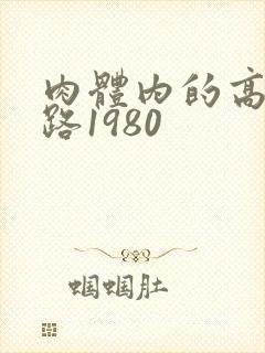 肉体内的高速公路1980