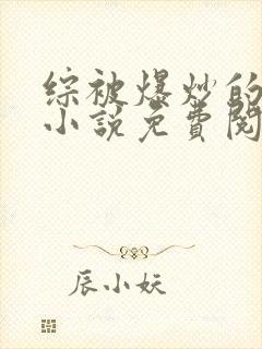 综被爆炒的日常小说免费阅读