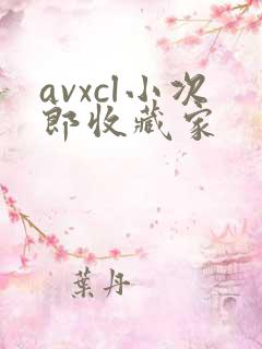avxcl小次郎收藏家