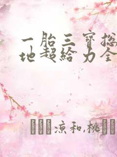 一胎三宝总裁爹地超给力全文免费阅读