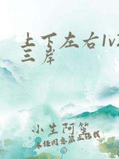 上下左右1v2三岸