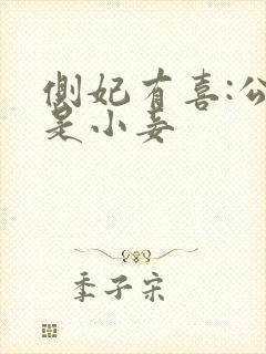 侧妃有喜:公主是小妾