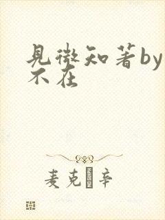 见微知著by音不在