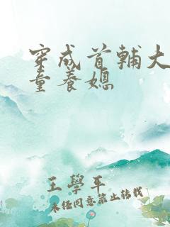 穿成首辅大人的童养媳