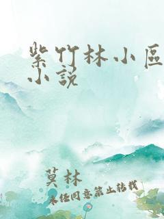 紫竹林小区快递小说