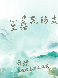 小农民的爽歪歪生活