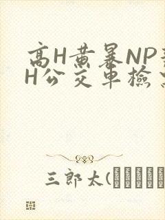 高H黄暴NP辣H公交车检票员