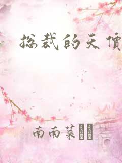 总裁的天价宠妻