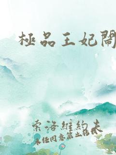 极品王妃闹王府