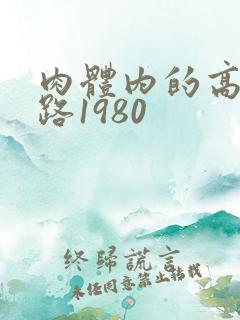 肉体内的高速公路1980