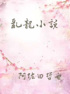 乱龙小说
