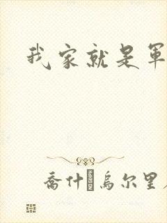 我家就是军火铺