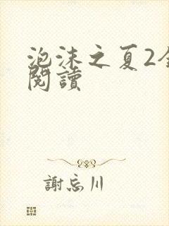 泡沫之夏2全文阅读