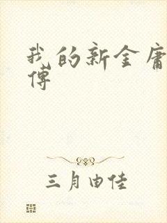 我的新金庸群侠传